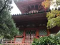 三瀧寺多宝塔の写真_391290