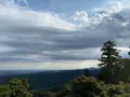 高尾山の写真_391473