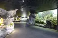 鴨川シーワールドの写真_391684