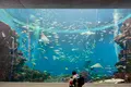 鴨川シーワールドの写真_391689
