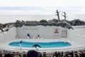 鴨川シーワールドの写真_391693