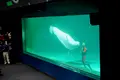 鴨川シーワールドの写真_391695