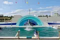 鴨川シーワールドの写真_391697