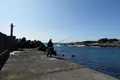 太夫崎漁港の写真_391719