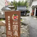 円満寺の写真_391792