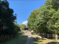 屋島寺の写真_391833