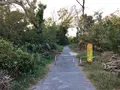 沖ノ島公園の写真_391959