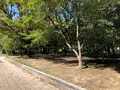 平和の鐘の写真_392288