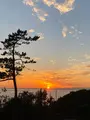 神奈川県立近代美術館 葉山の写真_392415