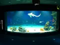 マリホ水族館の写真_392591