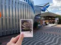 マリホ水族館の写真_392595