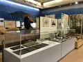 広島市郷土資料館の写真_392620