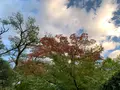 栗林公園の写真_392784