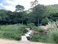 栗林公園の写真_392791