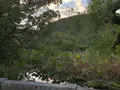 栗林公園の写真_392799