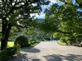 栗林公園の写真_392800