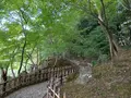 栗林公園の写真_392809