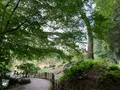 栗林公園の写真_392816
