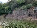 栗林公園の写真_392819