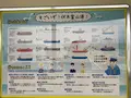 富山港展望台の写真_393033