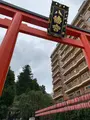 大崎八幡宮の写真_393865