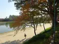 天王川公園の写真_394161