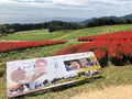 あわじ花さじきの写真_394938