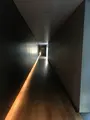 鈴木大拙館の写真_394945