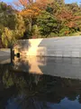 鈴木大拙館の写真_394947