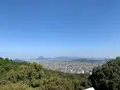 金刀比羅宮（こんぴらさん）の写真_395280