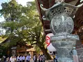 金刀比羅宮（こんぴらさん）の写真_395325