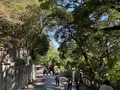 金刀比羅宮（こんぴらさん）の写真_395328