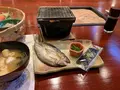 祖谷渓温泉ホテル 秘境の湯の写真_395375