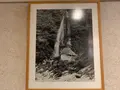 祖谷渓温泉ホテル 秘境の湯の写真_395377
