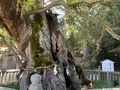 大山祇神社の写真_395400