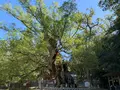 大山祇神社の写真_395406