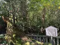 大山祇神社の写真_395411
