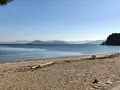 廿日市市宮島包ヶ浦自然公園の写真_395543