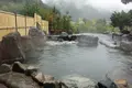 蒲田川流域、たから流路工周辺の写真_395547