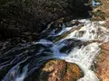 竜頭ノ滝の写真_395897