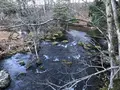 湯ノ湖の写真_395915