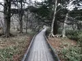 湯ノ湖の写真_395924