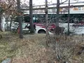 湯ノ湖の写真_395926