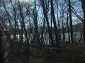 中禅寺湖の写真_395987