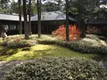 日光田母沢御用邸記念公園の写真_395993