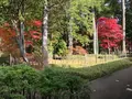 日光田母沢御用邸記念公園の写真_395994