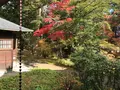 日光田母沢御用邸記念公園の写真_396003