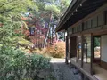 日光田母沢御用邸記念公園の写真_396004