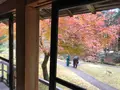 日光田母沢御用邸記念公園の写真_396010