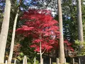 日光田母沢御用邸記念公園の写真_396025